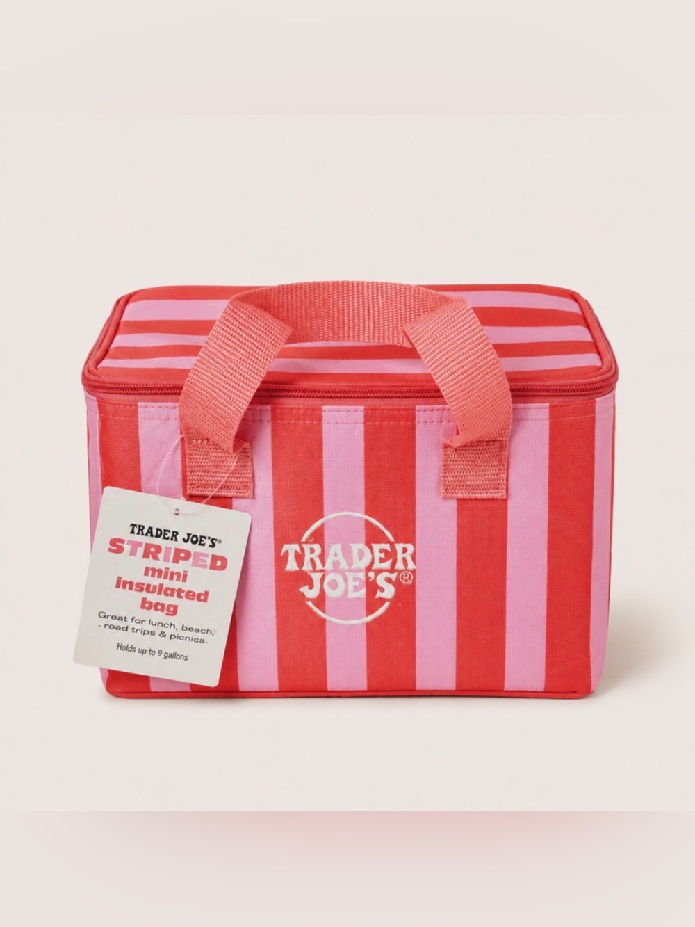 NWT - Trader Joe's Mini Insulated Tote Bag